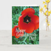 Gelukkige grootouders Dag Oma - Poppy Flowers Kaart (Gele Bloem)