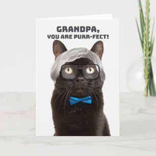 Gelukkige Grootouders Dag Opa Oud Man Kat Humor Feestdagen Kaart