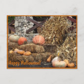 Gelukkige Halloween pompoen fotografie Briefkaart (Voorkant)