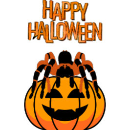 Gelukkige Halloween Tarantula op de top van een po