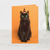 Gelukkige Halloween voor iedereen zwarte kat in he Feestdagen Kaart (Voorkant)
