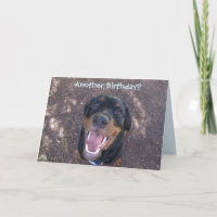Gelukkige Heidi Birthday Card