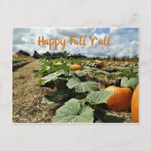 Gelukkige Herfst Pompoenen in een Veld Foto Briefkaart