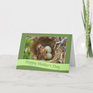 Gelukkige het babyVink van het Moederdag Kaart