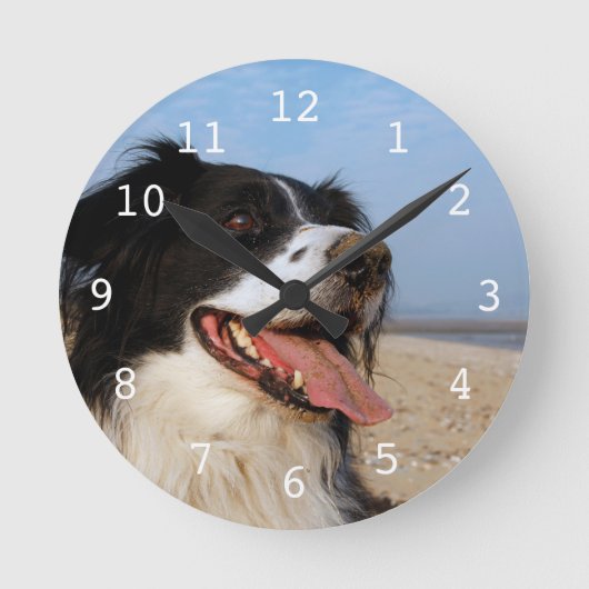 Gelukkige hond bij het strand ronde klok (Voorkant)