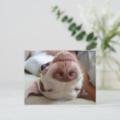 Gelukkige Hond Briefkaart (Staand voorkant)