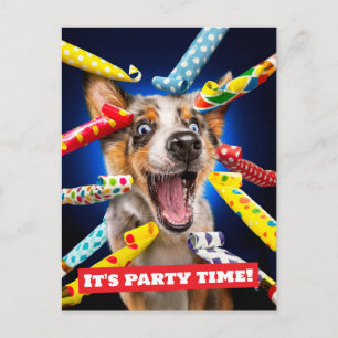 Gelukkige Hond Feest Toeters Briefkaart