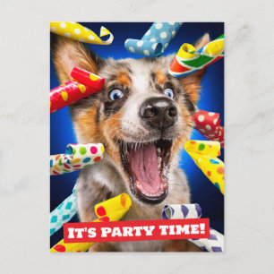 Gelukkige Hond Feest Toeters Briefkaart