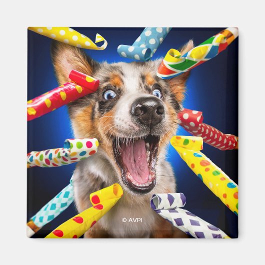 Gelukkige Hond Feest Toeters Magneet (Voorkant)
