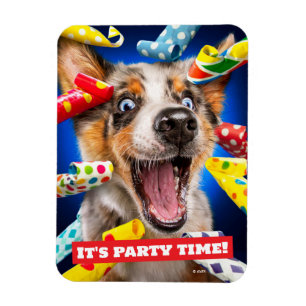 Gelukkige Hond Feest Toeters Magneet