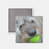 Gelukkige Hond met Balmagneet Magneet (Voorkant / Achterkant)