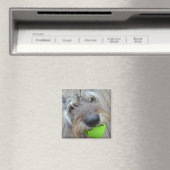 Gelukkige Hond met Balmagneet Magneet (Insitu (Vaatwasser))