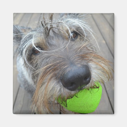 Gelukkige Hond met Balmagneet Magneet (Voorkant)