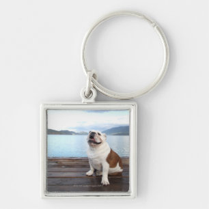 gelukkige hond op het dek nabij het meer sleutelhanger