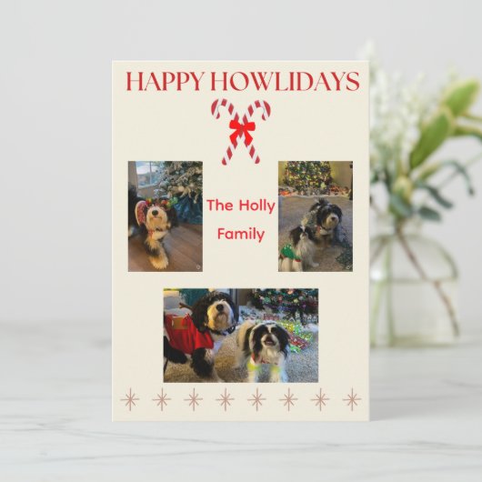 Gelukkige Howlidays Candy Canes en Twinkle Feestdagenkaart (Staand voorkant)