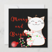 Gelukkige Kat die met LEIDEN Licht spelen | Schatt (Voorkant)