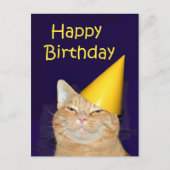 Gelukkige kat Gelukkige verjaardag Briefkaart (Voorkant)