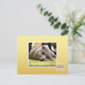 Gelukkige kat, uit gelukkig briefkaart (Staand voorkant)