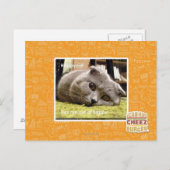 Gelukkige kat, uit gelukkig briefkaart (Voorkant / Achterkant)