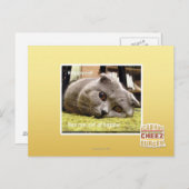 Gelukkige kat, uit gelukkig briefkaart (Voorkant / Achterkant)