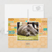 Gelukkige kat, uit gelukkig briefkaart (Voorkant / Achterkant)