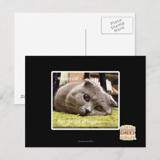 Gelukkige kat, uit gelukkig briefkaart (Voorkant / Achterkant)