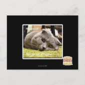 Gelukkige kat, uit gelukkig briefkaart (Voorkant)