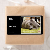 Gelukkige kat, uit gelukkig etiket (Insitu)