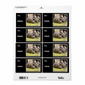 Gelukkige kat, uit gelukkig etiket (Full Sheet)