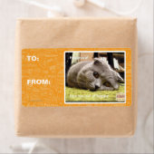 Gelukkige kat, uit gelukkig etiket (Insitu)