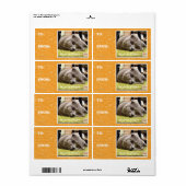 Gelukkige kat, uit gelukkig etiket (Full Sheet)