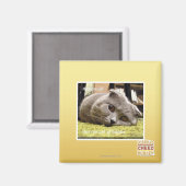 Gelukkige kat, uit gelukkig magneet (Voorkant / Achterkant)