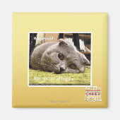 Gelukkige kat, uit gelukkig magneet (Voorkant)