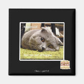 Gelukkige kat, uit gelukkig magneet (Voorkant)