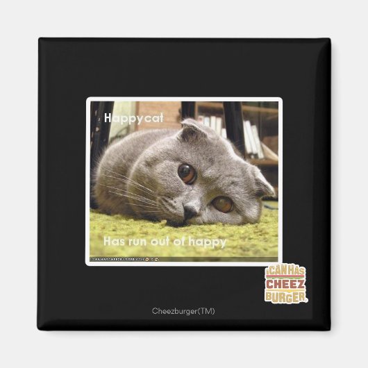 Gelukkige kat, uit gelukkig magneet (Voorkant)