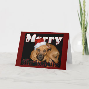 Gelukkige Kerstmis Staffy Feestdagen Kaart