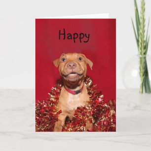 Gelukkige Kerstmis van het pitbullpuppy Feestdagen Kaart