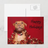 Gelukkige Kerstmis van het pitbullpuppy Feestdagenkaart (Voorkant / Achterkant)