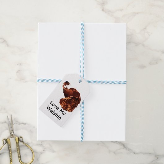 Gelukkige Kerstmis Welsh Springer Spaniel Cadeaulabel (Met Touw)