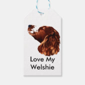 Gelukkige Kerstmis Welsh Springer Spaniel Cadeaulabel (Voorkant)