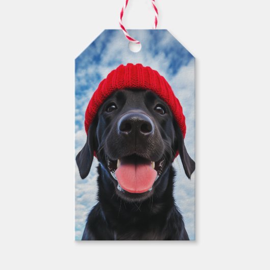 Gelukkige Labrador in een rode muts onder een blau Cadeaulabel (Voorkant)