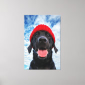 Gelukkige Labrador in een rode muts onder een blau Canvas Afdruk (Voorkant)