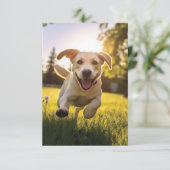 Gelukkige Labrador Puppy Running Aankondiging (Staand voorkant)