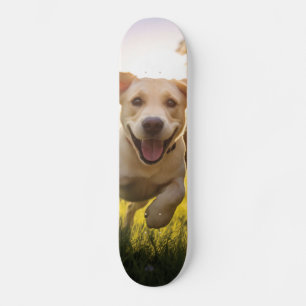 Gelukkige Labrador Puppy Running Persoonlijk Skateboard