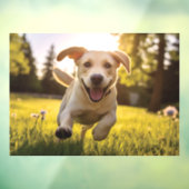 Gelukkige Labrador Puppy Running Raamsticker (Vel 3)