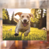 Gelukkige Labrador Puppy Running Raamsticker (Vel 2)