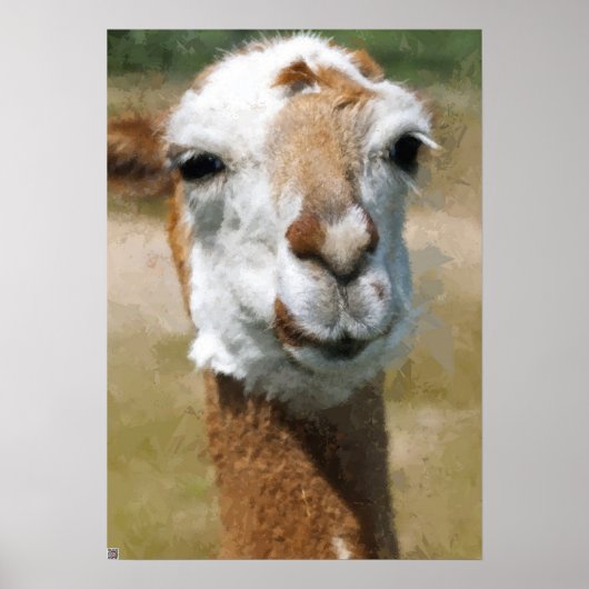 Gelukkige lama, schilder effect poster (Voorkant)