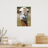 Gelukkige lama, schilder effect poster (Keuken)