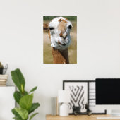 Gelukkige lama, schilder effect poster (Thuiskantoor)