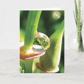 Gelukkige, magische, dauwdruppel vriendschap kaart (Voorkant)